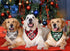 4 Pack Christmas Dog Scarves - Plaid Triangle Bandanas for Small to Large Dogs and Cats - Holiday Pet Accessories Gift Set...