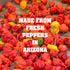 Spontaneous Combustion Habanero Pepper - Ultimate Pepper Gift - Try if you dare!… …...