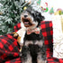 ARING PET Christmas Dog Collar-Cute Cotton Dog Collar with Bow, Adjustable Pink Christmas Pet Collars Puppy Collars with Metal Buckle...