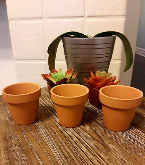 Set of 4 Archway Lawn & Garden Mini Flower Pots - 2.5" x 2.5" Terra Cotta Black Duck Brand (4)...