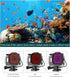 Waterproof Case for GoPro Hero 8 Black with 4-Pack Dive Filter, 60M Underwater Diving Housing Case with Red, Light Red, Magenta, Close-up Filters ...