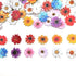 100Pcs Wood Daisy Buttons Painted Wooden Flower Buttons for Crafts Sunflower Wood Buttons 2 Holes Flatback Flower shaped Buttons...