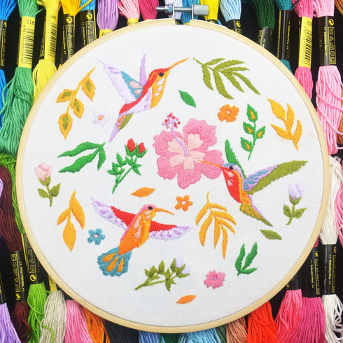 Bird Embroidery Kit for Adults Beginners, Funny flower hummingbird Cross Stitch Kit for Crafts Starters with Cute Birds Flora Patterns Include Emb...