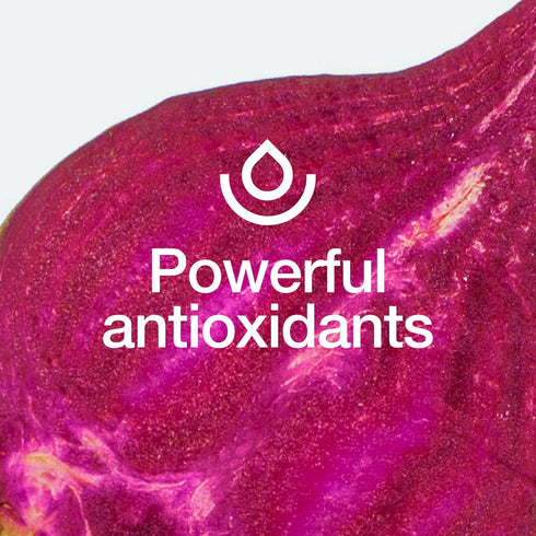 Fresh Nutrition Organic Beet Root Capsules - 2400mg Potent Dosage - Antioxidant Support - Vegan, Non GMO, Gluten-Free - 90 Capsules...