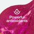 Fresh Nutrition Organic Beet Root Capsules - 2400mg Potent Dosage - Antioxidant Support - Vegan, Non GMO, Gluten-Free - 90 Capsules...
