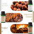 Fragrance Oils, MitFlor Winter Essential Oils for Home Diffusers, Soap & Candle Making Scents, Premium Holiday Aromatherapy Gift Set, 6 x10ml-Wint...