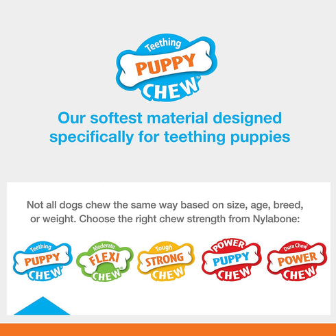 Nylabone Spin Tug & Play Pink Puppy Chew Toy for Teething - Puppy Supplies - Peanut Butter Flavor, Medium/Wolf (1 Count)...