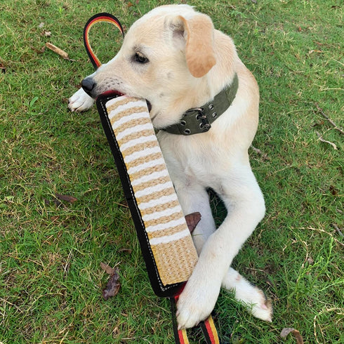 ASOCEA Dog Tug Toy,Dog Bite Jute Pillow Pull Toy Tough Squeaky Dog Toys for Aggressive Chewers with 2 Handles Bite Toys for Medium to Large Dogs I...