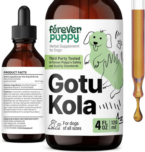 Gotu Kola Drops for Dogs - Brain Supplement for Dogs w/Gotu Kola - Herbal Brain Health Support - Nutritional Supplement for Dogs of All Breeds & S...