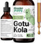 Gotu Kola Drops for Dogs - Brain Supplement for Dogs w/Gotu Kola - Herbal Brain Health Support - Nutritional Supplement for Dogs of All Breeds & S...