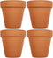 Set of 4 Archway Lawn & Garden Mini Flower Pots - 2.5" x 2.5" Terra Cotta Black Duck Brand (4)...