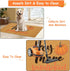 Hello Pumpkin Welcome Doormats Entrance Harvest-Festival Front Door Mat Artificial Coir Fall Doormat Funny Home Decor Doormat 17 x 29 Inch...