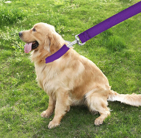 6 FT Strong Dog Leash, Nylon Dog Leashes for Small Medium Large Dogs...