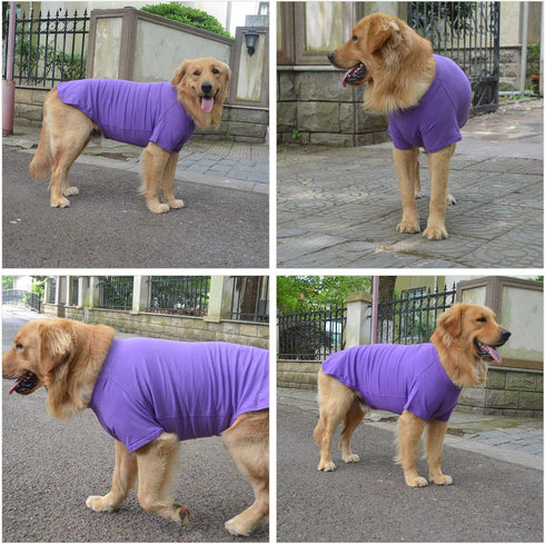 Lovelonglong 2019 Pet Clothing Dog Costumes Basic Blank T-Shirt Tee Shirts for Small Dogs Purple L...