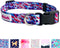 Classic Pet Collar, Adjustable, Durable, Comfortable, Small, Medium, and Large Dogs, Made of Washable Polyester with an Easy-to-Use Buckle Closure...