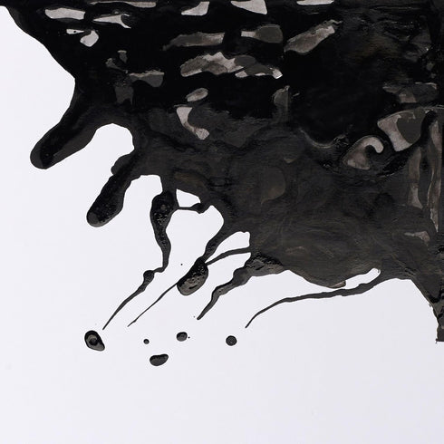 Winsor & Newton Specialty Ink, Black, 14ml Bottle...