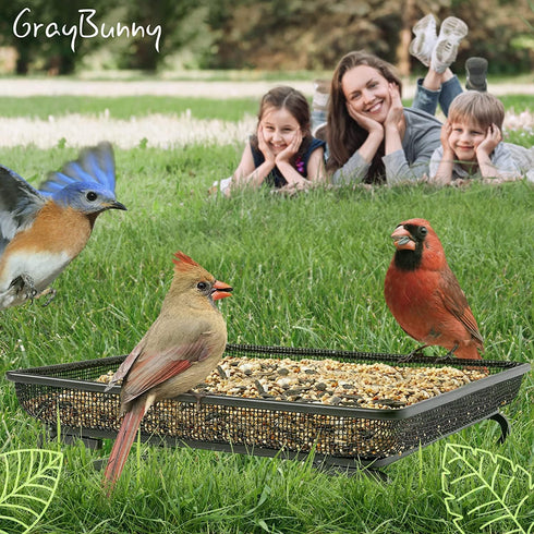 Gray Bunny Bird and Squirrel Feeder Tray 11x11 Inches, Cardinal Bird Feeder, Blue Jay Feeder, Squirrel Feeders for Outside, Wild Bird Feeders, Pla...