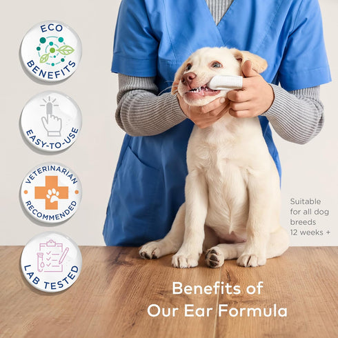 Dental Finger Wipes for Dogs - 100 Wipes - Dog Dental Teeth Cleaning Wipes for Dogs - Pre-Soaked Oral Cleaning Pads- Reduces Plaque, Tartar & Dog ...