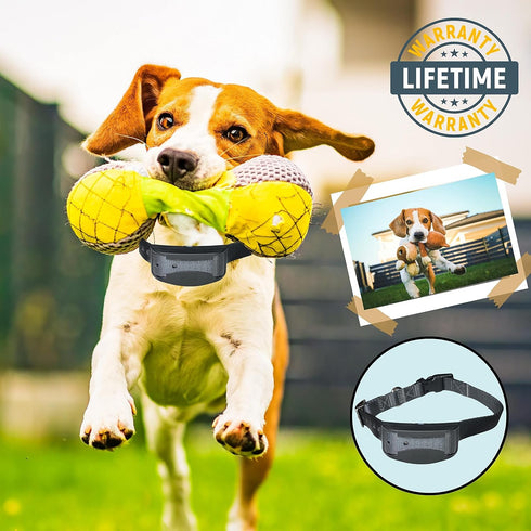 E Collar Replacement Strap, SportDog Replacement Collar, Petsafe Replacement Collar, Dog Shock Collar Replacement Strap, invisible fence Replaceme...