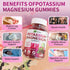 Potassium Magnesium Gummies, New Formula Calm Magnesium Glycinate Gummies, Chewable Gummy Supplements for Leg Cramps & Muscle, Elderberry Flavor 9...