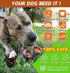 Dog Chew Toys for Aggressive Chewers Indestructible Dog Toys,Bacon Flavored,Tough Dog Bone Toys for Medium/Large Breed Dogs, Best Extreme Chew Toy...