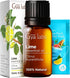 Gya Labs Lime Essential Oil for Skin - 0.34 Fl Oz - 100% Pure Natural Lime Oil for Diffuser, Hair, Candles Making - Refreshing Zesty Scent...
