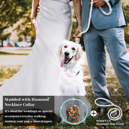 Stylish and Luxurious Diamond Dog Collar,Magnetically Absorbent Clasp,Full Diamond Design,Perfect for Wedding and Everyday Walking - Blue Diamons ...