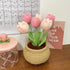 Lily's Lyric Flower Crochet Kit | Tulip Flowerpot | Step-by-Step Video Tutorial for Adults Teenagers | DIY Home Decoration Craft Gift Idea Pink...