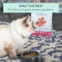 The New Zealand Natural Pet Food Co MEOW e - Chicken & King Salmon Recipe, Dry Cat Food Use as a Complete Diet, Topper, Mixer, or as Cat Training ...