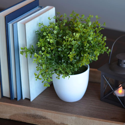 WHW Whole House Worlds Realistic Faux Baby Oregano, Potted Plant, Houseplant, Kitchen, Lushly Leafed, White Pot, Plant Diameter is 6 Inches x 9 3/...