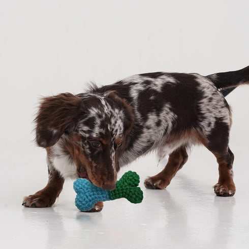 Dog Chew Toy - Handmade Crochet Chew Resistant - Durable and Cute Plush Toy with Squeaker - Small Medium Size Dogs - Dental Safe Chews for Aggress...