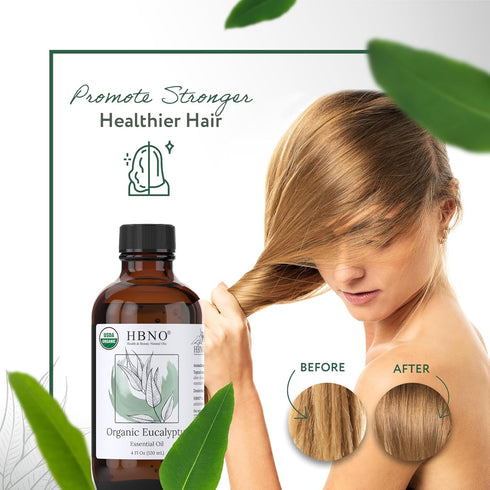 HBNO® California Bottled Organic Eucalyptus Essential Oil (Globulus) 4 fl oz (120ml) - USDA Certified Organic Eucalyptus Oil for Diffuser, Ideal E...