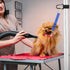 Pet Dog Grooming Arm Accessories Supplies Compatible for Groomers Helper Grooming Loop Dog Grooming Extension Strap Adjustable Dog Grooming Table ...