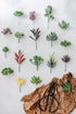 Artificial Succulent Plants - 18 Pack - Premium Fake Plants - Double Flocked Succulents - Realistic Textured Cactus - Face Succulent Plants - Mini...