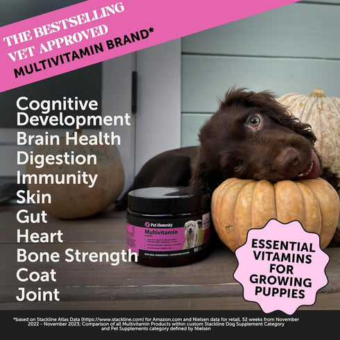 Pet Honesty Multivitamin Puppy Treats - Essential Dog Supplements & Vitamins for Learning and Cognitive Development- Probiotics, Omega Fish Oil fo...