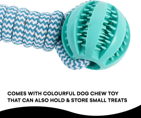 Black Rhino Tetherball set for Dogs - Heavy Duty Outdoor Dog Toy - Interactive Dog Rope Ball for Playground...
