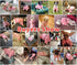 Idepet Pet Dog Classic Knitwear Sweater Soft Fleece Coat Thickening Warm Pup Dogs Shirt Winter Pet Dog Cat Clothes Puppy Customes Clothing for Sma...