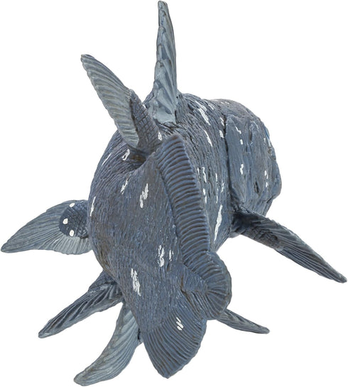 Safari Ltd. Coelacanth Figurine - Detailed 5.5" Prehistoric Fish Figure - Educational Toy for Boys, Girls, and Kids Ages 3+...