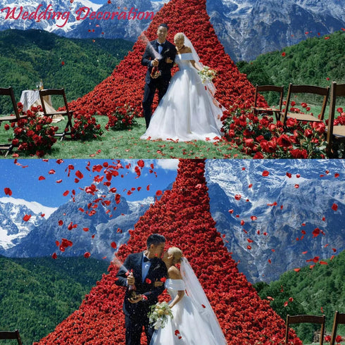 CODE FLORIST 2200 PCS Dark-Red Silk Rose Petals for Romantic Night,Wedding,Proposal Anniversary Flower Decorations...