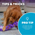 Outward Hound Nina Ottosson Twistiez Interactive Plush Dog Puzzle Dog Enrichment Toys Dog Treat Puzzle, Plush, Purple...