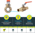 SharkBite 3/4 Inch Expansion Ball Valve for PEX-A Pipe, Brass Plumbing Fittings for PEX A Tubing, UAB22462LFA...
