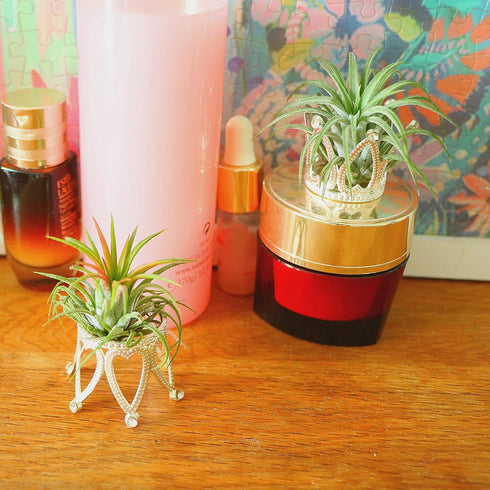 Pack of 3 Silver Air Plant Holder Cute Crystal Tillandsia Display Container Home Decors Office Desktop Marble Egg Sphere Stand...