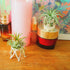 Pack of 3 Silver Air Plant Holder Cute Crystal Tillandsia Display Container Home Decors Office Desktop Marble Egg Sphere Stand...