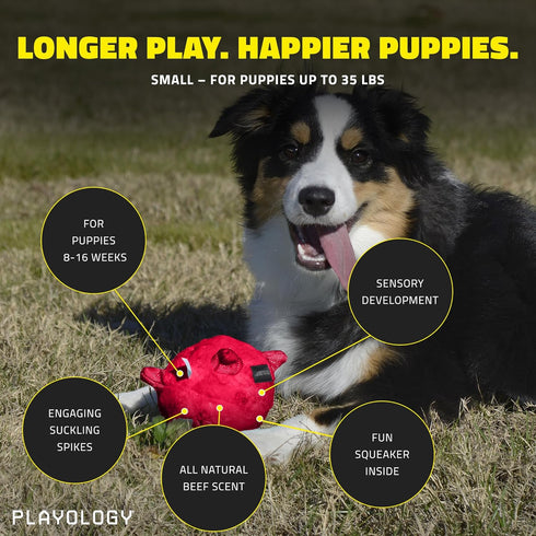 Playology Puppy Dog Ball Toys for Sensory Development, Small - Stuffed Chew Dog Toys with Squeaker for Puppies 8-16 Weeks - Engaging All-Natural B...