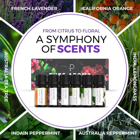 Essential Oils Set by Pure Aroma - Top 6 Aromatherapy Oils Gift Set-6 Pack, 10ml (Eucalyptus, Lavender, Lemongrass, Sweet Orange, Peppermint, Tea ...