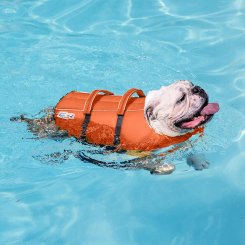 Outward Hound Granby Splash Orange Dog Life Jacket, Small...