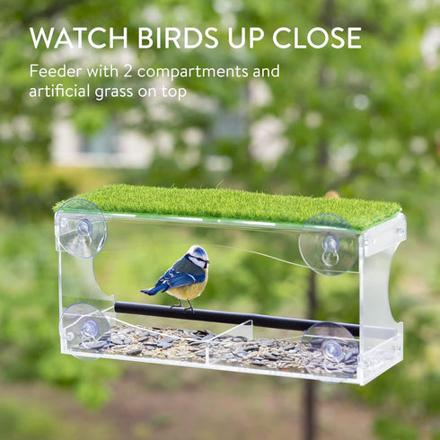 Navaris Clear Bird Feeder with Suction Cups - Window Bird Feeder for Bird Watching - Acrylic Feeder for Birds with Window Suction Cups and Grass -...