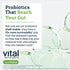 Hyperbiotics Vital Nutrients Pro Kids Probiotic ENT | Toddler Probiotics for Kids Ear, Nose and Throat | Targeted Immune and Digestive Health | St...
