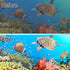 6 Pack Filter Cartridge for Tetra Whisper Bio-Bag Filters, Medium Replacement Filter Cartridges for Aquariums Compatible with Tetra Whisper Filter...