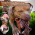 Dog Chew Toys for Aggressive Chewers, Heavy Duty Dog Toy, Real Bacon Flavored, Dog Toys for Aggressive Chewers, Dog Toys for Medium Large Dogs, To...